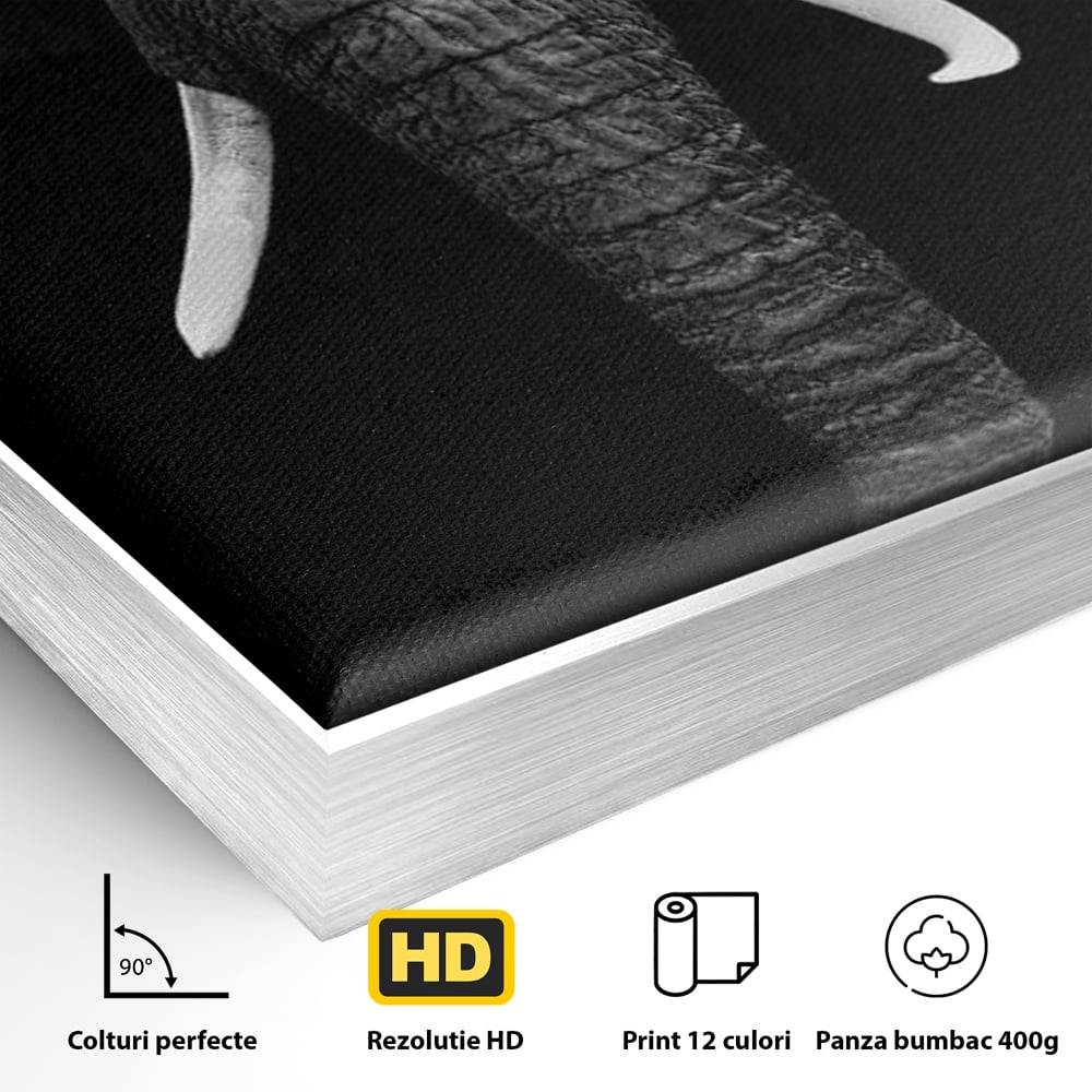 Detaliu al suprafetei: tablou canvas cu cap de elefant, in rama de aluminiu argintiu